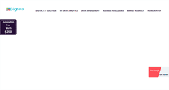 Desktop Screenshot of outsourcebigdata.com